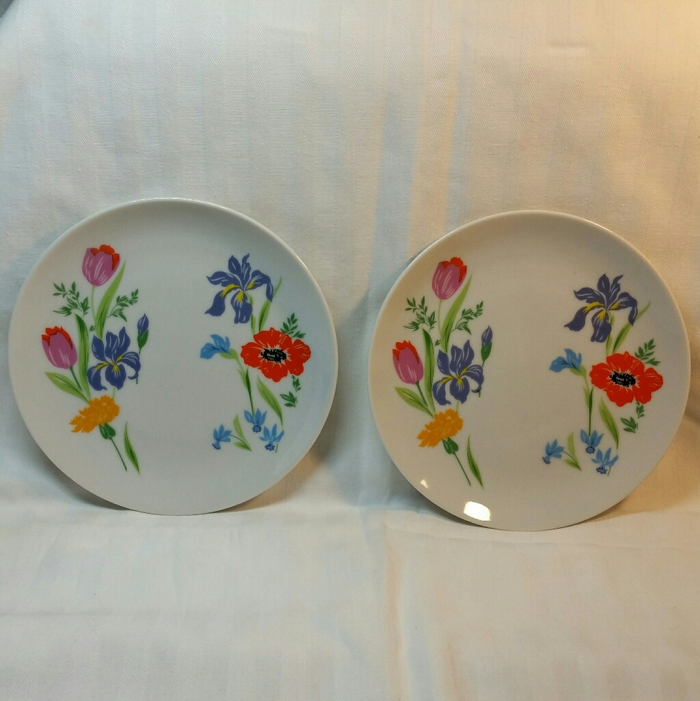 Set of 2 PRIMAVERA Bread Plates 6.25" Taste Setter